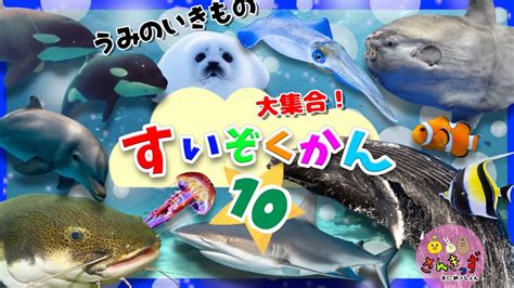 金色 魚|金色な魚たち大集合！｜海のいきもの｜海の生き 